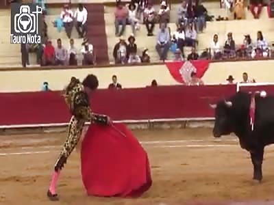 'EL FAGGOT' BEING GORED BY BULL