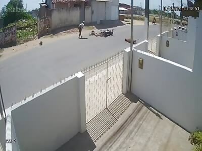 THE FUCKING LITTLE PONY