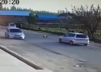 Kid gets hit by Car then ran over by Another.