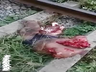 MAN IN PIECES BY TRAIN.