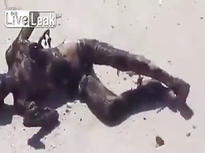 Four charred victims of the international war criminal, Putin: Saraqueb City