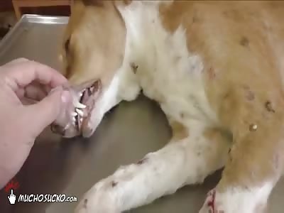 The worms crawl in...and pop out.