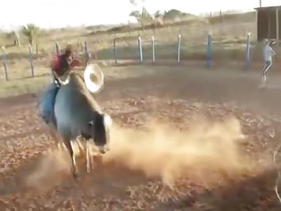 Cowboy dies with a kick in the head