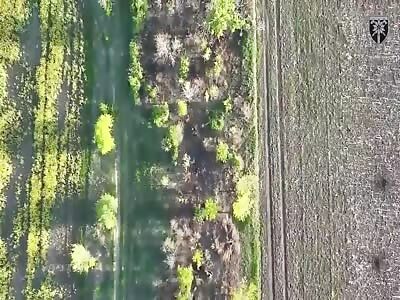 Super Vova Bros 1 Game Over