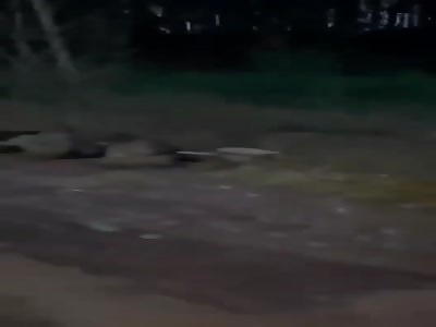 The Roads Are Plastered With Russian Corpses