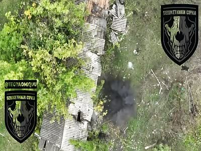 Kadyrov's TikTok Ballerinas Systematically Destroyed