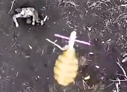 Legless Russian Abandoned In A Field