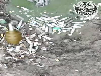 Russian Swamp Orc Spotted