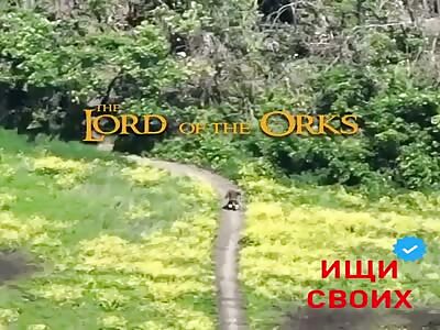 Knight Of Blyat Waddles Home