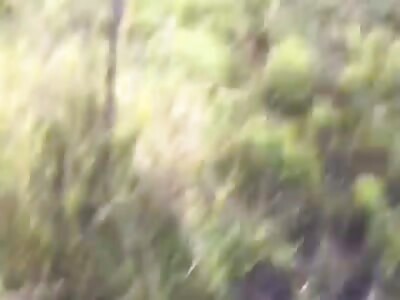 Airplane crash (extra footage)