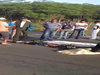  you are putting aromatic herbs to make tacos and tamales