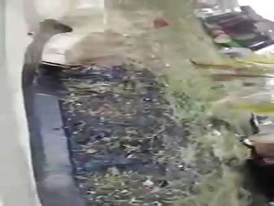 Terrible fatal accident in mexico popayan