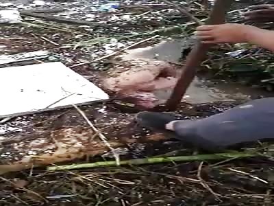  when you are lucky and find a good cadaver to necrophilia