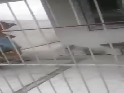 Thief is hit by the owner of the house