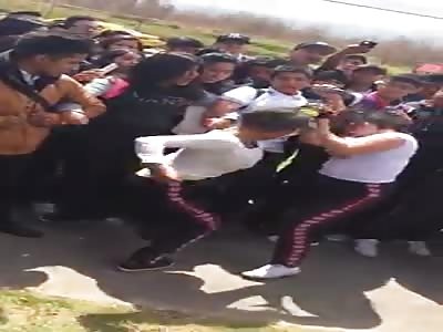 Women fight, blows on the testicles to spectator