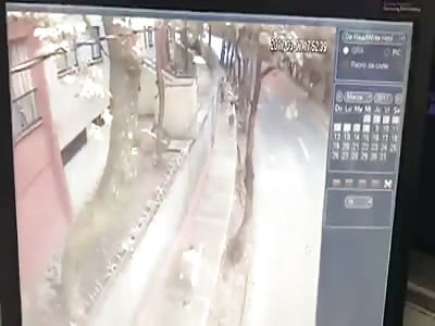 Dog causes motorcycle accident