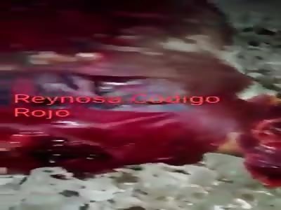 Zetas old school kill cdn member in new lion