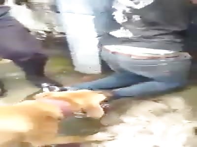 Arrested thieves are bitten by a dog