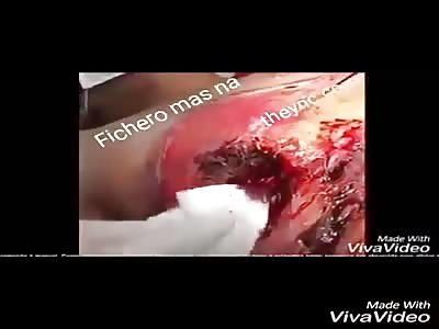 The stars of   fichero maz na  3