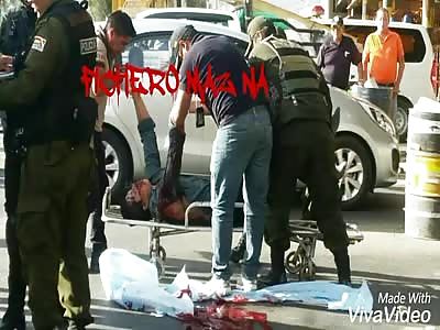 Suicide of a bridge   (New angle and photos)