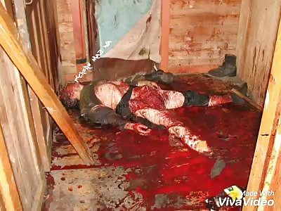 RUSSIANS ATTACKED BY GRIZZLY BEAR