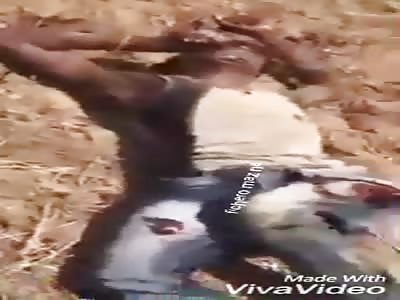 (full versiÃ³n) Spectacular suicide jump and cadaver