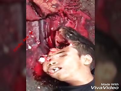 The stars of fichero maz na 7