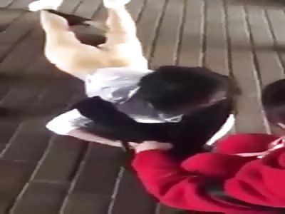 Small three was beaten humiliation, do not do small three