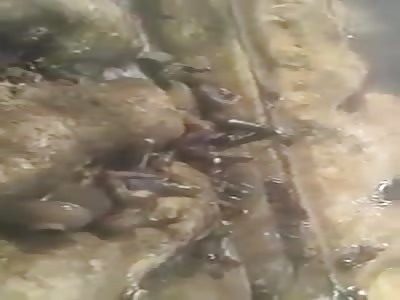 Accident in pakistan oil truck