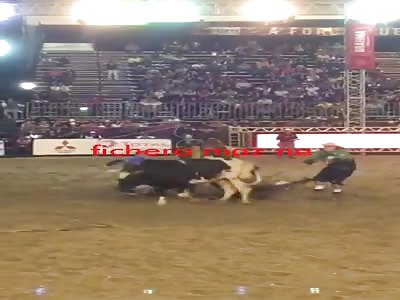 Annoying bitch with brazilian