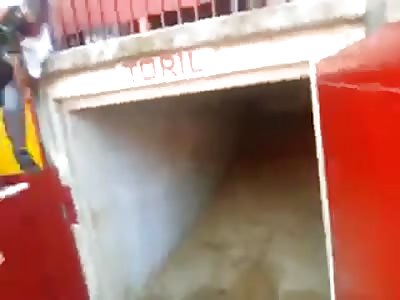 Damn!! Guy Knocked Down by Flying Bull!!
