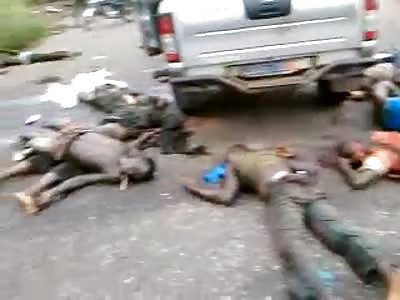 Slaughtered on the road