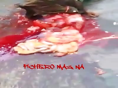 Nice accident gore  (Beautiful)