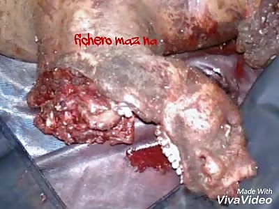 Two men die in a car accident