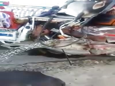 Accident leaves man agonizing next to his cows