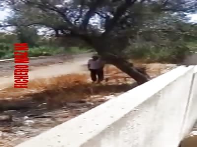 The piÃ±ata is advanced for the holiday season