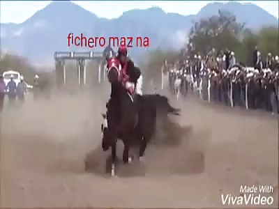 ACCIDENT: horses in races collide with rider included