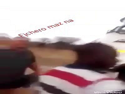 FATAL: clash between trailer and elephant is deadly