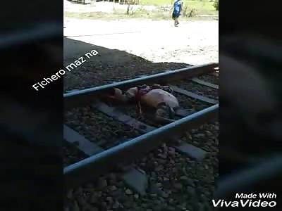 this is a beautiful corpse