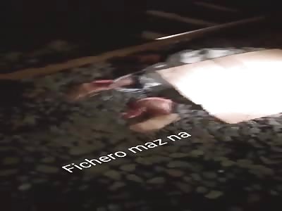 beautiful corpse torn to pieces by train (it looks like poetry)