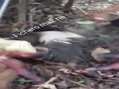 BODY IN STATE OF DECOMPOSITION