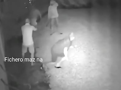 THIEVES ATTACK MAN AT ROAR HOME