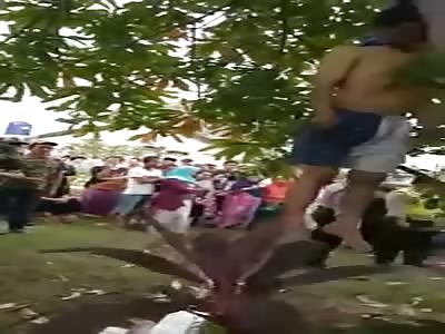 MAN HANGING THE TREE