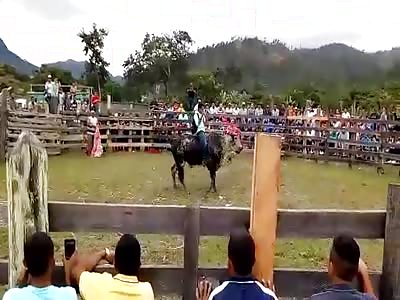 Bull kills Man with one Hoof to the Head