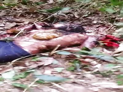 Corpse of Gang Member Found Decapitated with Multiple Stab Wounds