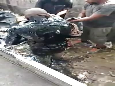 MAN RECEIVES PUNISHMENT