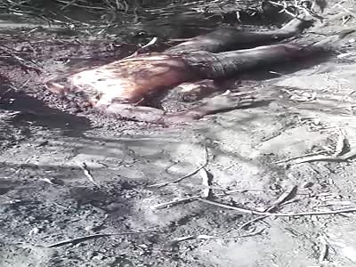  Savage Brazil [ SHOCKING FIND]