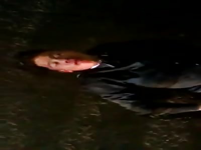 Phone Thief Kicked and Stomped by Taxi Drivers