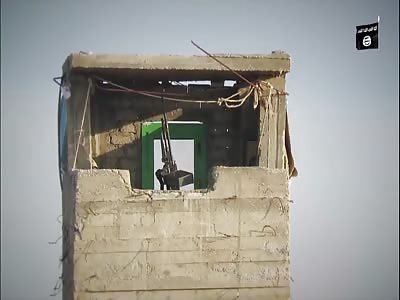 NEW: Sniper Collection