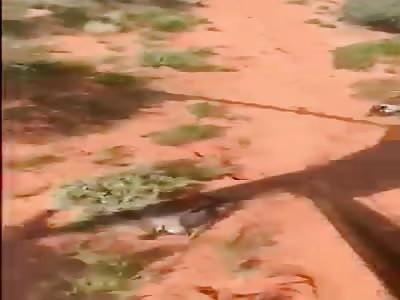 Guy Falls from Helicopter During a Boar's Hunt